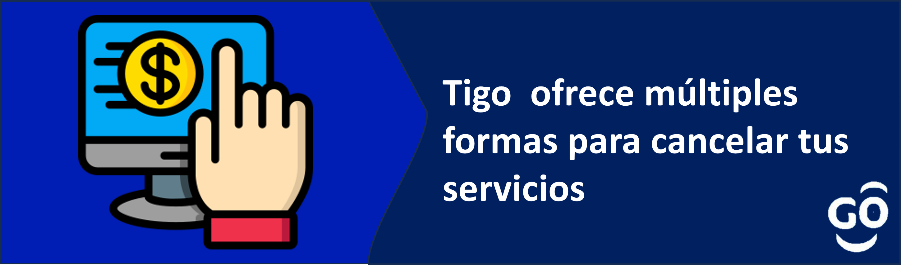aw-pago banner.png